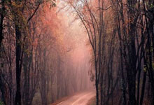 2020湖人总决赛全部回放哪里能看？经典战役细节与精彩瞬间全解析